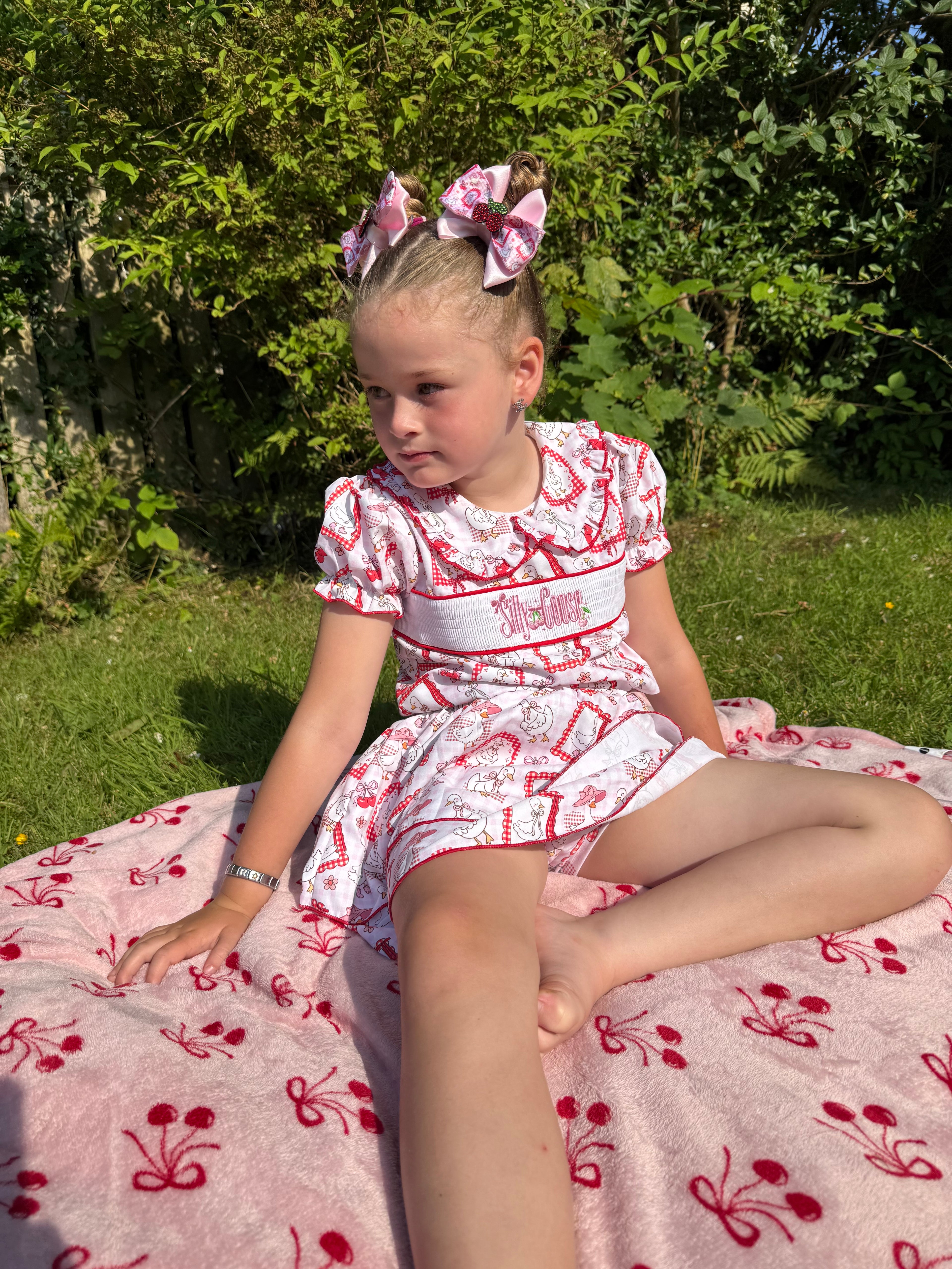 Silly Goose Smocked Skirt Set